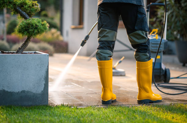 Best Exterior Home Cleaning  in Los Chaves, NM